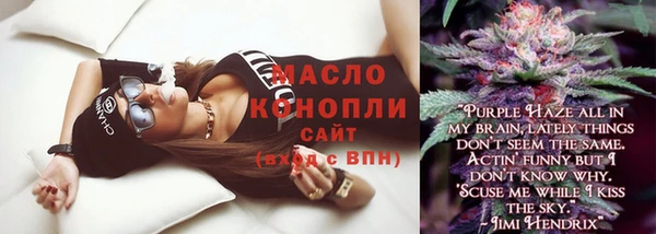 сатива Горняк