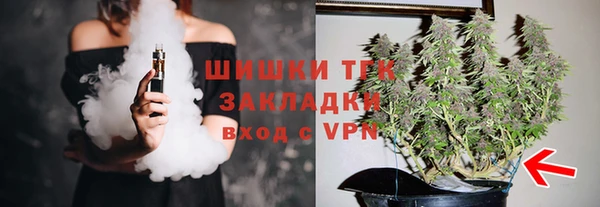 скорость Чекалин