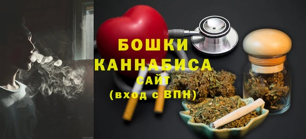сатива Горняк