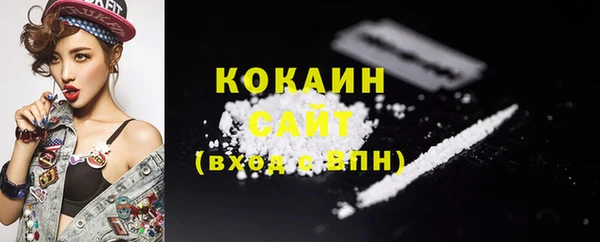 сатива Горняк