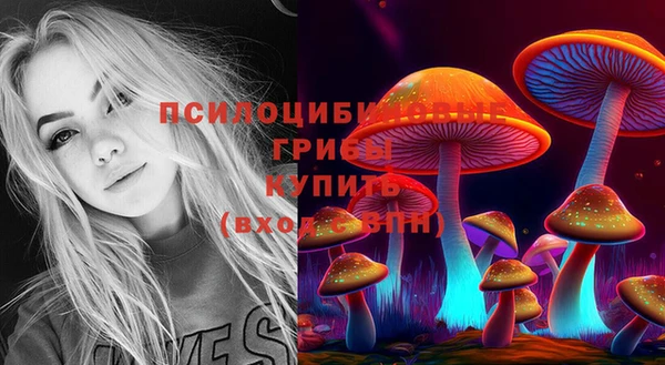a pvp Хадыженск