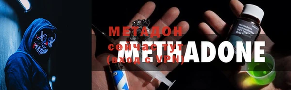сатива Горняк