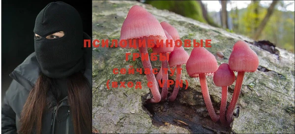сатива Горняк