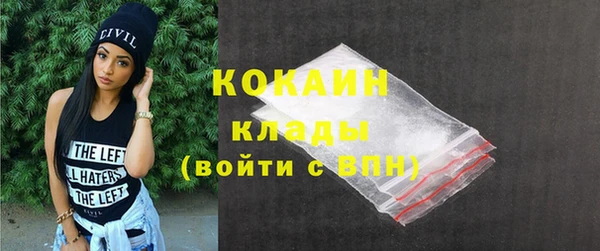 сатива Горняк