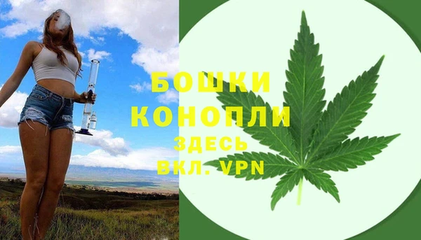 сатива Горняк