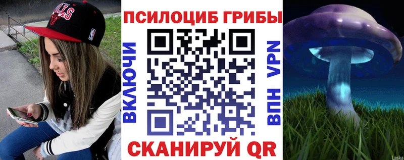 купить наркотик  Новомосковск  Галлюциногенные грибы ЛСД 